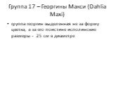 Группа 17 – Георгины Макси (Dahlia Maxi). группа георгин выделенная не за форму цветка, а за его поистине исполинские размеры - 25 см в диаметре