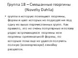 Группа 18 – Смешанные георгины (Novelty Dahlia). группа в которую помещают георгины, форма и цвет которых не подходят ни под одну из выше перечисленных групп. Как правило, это не очень популярные и потому редко встречающиеся георгины или георгины оригинальной формы, по которым пока еще не удается по