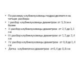 По размеру клубнелуковицы подразделяются на четыре разбора: I разбор клубнелуковицы диаметром от 3,2см и более II разбор клубнелуковицы диаметром от 2,5 до 3,1 см III разбор клубнелуковицы диаметром от 1,5 до 2,4 см IV разбор клубнелуковицы диаметром от 0,8 до 1,4 см Детка клубнепочки диаметром от 0