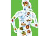 Белок и его роль в правильном питании и снижении веса Слайд: 37