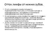 Отток лимфы от нижних зубов. От н/з и пародонта лимфа попадает в поднижнечелюстные узлы, а от клыков и резцов- в подподбородчные, находящиеся в маленьком подподбородочном треугольнике шеи. Из регионарных узлов лимфоотток ведется по сосудам в крупнейший шейный коллектор – многочисленные латеральные ш