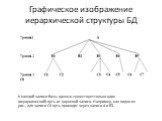 Графическое изображение иерархической структуры БД. К каждой записи базы данных существует только один (иерархический) путь от корневой записи. Например, как видно из рис., для записи С4 путь проходит через записи А и В3.