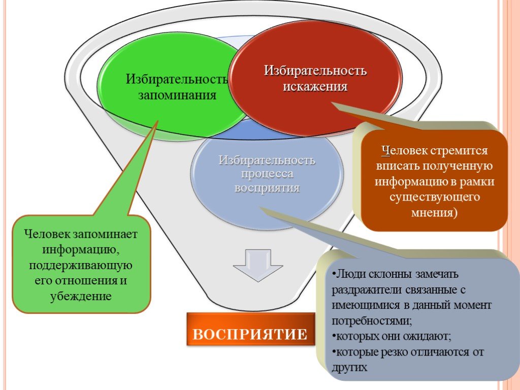 Социально экономические основы