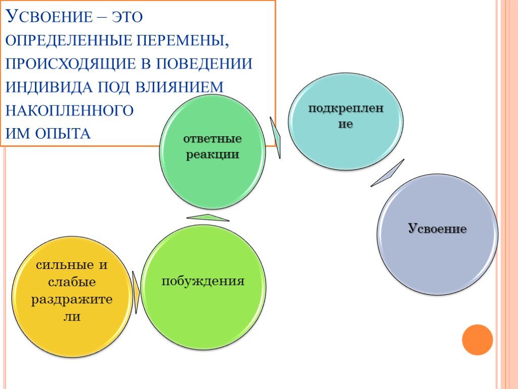 Осуществляться в определенный. Усвоение это перемены , происходящие в поведение. Усвоение. Влияние знаний на поведение индивидов. Усвой что это.