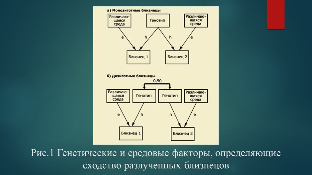 Почему однояйцевые близнецы имеют одинаковый генотип. Близнецовый метод в психогенетике. Метод близнецов в психогенетике. Близнецовый метод схема. Задачи Близнецового метода генетики.