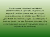 Кожа тонкая: отчетливо выражена физиологическая эритема. Подкожный жировой слой истончен или отсутствует, сохраняясь лишь в области щек. Ногти не достигают кончиков пальцев. Половая щель у девочек зияет, так как большие половые губы не прикрывают малые. У мальчиков яички не опустились в мошонку.