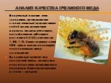 Анализ качества пчелиного меда. Полученный от живих пчел (например, путем ужаления стекла) пчелиный яд представляет собой густую, прозрачную жидкость горько-жгучего вкуса, кислой реакции (рН водних растворов 4,5-5,5), плотностью 1,08-1,13. Секрет содержит около 40% сухого остатка и на воздухе через 