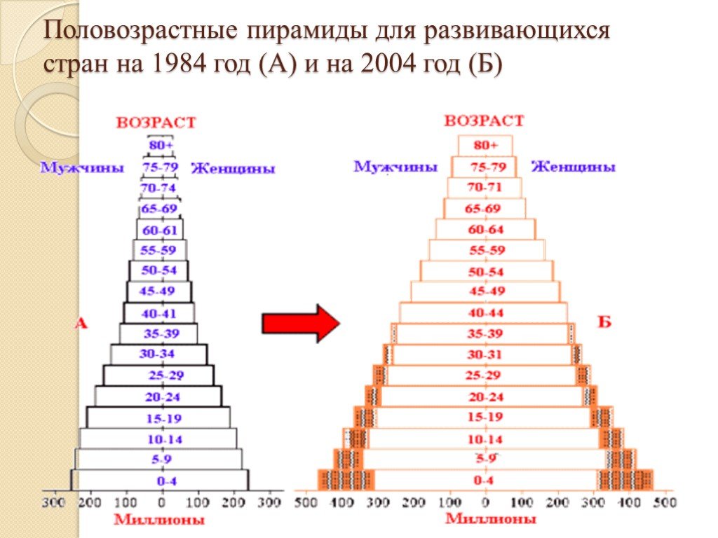 Какая форма половозрастной пирамиды. Половозрастные пирамиды стран. Анализ половозрастной пирамиды. Построение половозрастной пирамиды. Возрастные пирамиды стран.