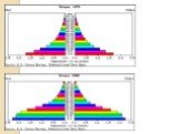 Формы половозрастных пирамид и анализ половозрастной пирамиды Республики Беларусь Слайд: 10