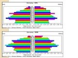 Формы половозрастных пирамид и анализ половозрастной пирамиды Республики Беларусь Слайд: 12