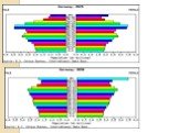 Формы половозрастных пирамид и анализ половозрастной пирамиды Республики Беларусь Слайд: 13