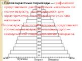 Половозрастные пирамиды — графическое представление распределения населения по полу и возрасту, использующееся для характеристики половозрастного состава населения. Половозрастной состав населения представляет соотношение возрастно-половых групп — совокупностей людей одинакового возраста.