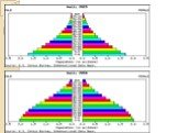 Формы половозрастных пирамид и анализ половозрастной пирамиды Республики Беларусь Слайд: 9