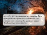 БИОТЕХНОЛОГИЯ МЕТАЛЛОВМЕТОДЫ ЭКОЛОГИИ МИКРООРГАНИЗМОВ Слайд: 7