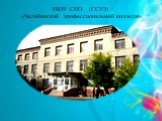 ГБОУ СПО (ССУЗ) «Челябинский профессиональный колледж»