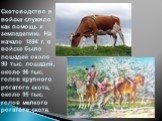 Скотоводство в войске служило как помощь к земледелию. На начало 1894 г. в войске было лошадей около 90 тыс. лошадей, около 96 тыс. голов крупного рогатого скота, около 95 тыс. голов мелкого рогатого скота.