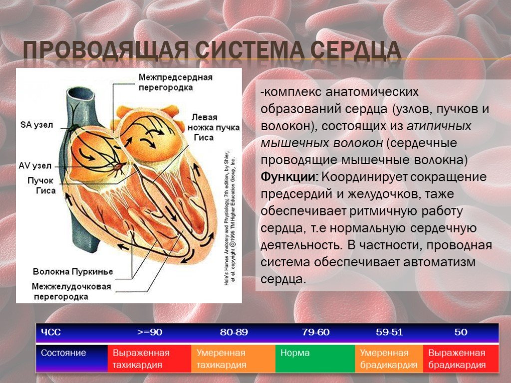 Винная карта палаццо дукале