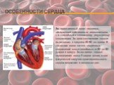 Особенности сердца. Это единственный орган человека, обладающий собственным автоматизмом, т. е. способный к спонтанному регулярному сокращению. За одно сокращение сердце выталкивает в среднем 60-80 мл крови. В состоянии покоя частота сердечных сокращений может колебаться от 60 до 80 ударов в минуту.