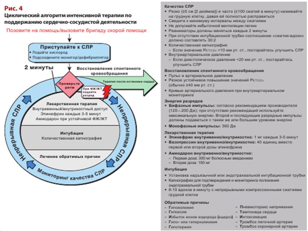 Чек лист реанимация. Базовая СЛР алгоритм. Алгоритм СЛР таблица. СЛР алгоритм действий скорой. Алгоритм СЛР скорой помощи.