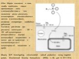 Murphy M.P. Investigating mitochondrial radical production using targeted probes. Biochemical Society Transactions (2004), v. 32, part 6, 1011-1014. Идея Мэрфи состояла в том, чтобы соединить такие проникающие ионы с антиоксидантами, что позволяло резко увеличить концентрацию антиоксидантов именно в