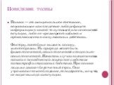 Поведение толпы. Паника — это эмоциональное состояние, возникающее как следствие либо дефицита информации о какой-то пугающей или непонятной ситуации, либо ее чрезмерного избытка и проявляющееся в импульсивных действиях. Факторы, способные вызвать панику, многообразны. Их природа может быть физиолог