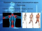 Какими органами занимается врач Ортопед. Суставы, позвоночник, бедро, костно мышечная система, стопа.