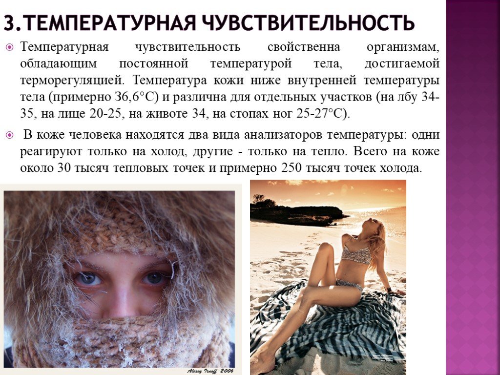 Какие люди обладают чувствительностью. Температурная чувствительность. Температурная чувствительность кожи. Наибольшей температурной чувствительностью обладают. Температурная чувствительность в России.