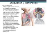Изменения в поджелудочной железе, органах дыхания, желудочно-кишечном тракте регистрируются уже во внутриутробном периоде и с возрастом пациента неуклонно нарастают. Выделение вязкого секрета экзокринными железами приводит к затруднению оттока и застою с последующим расширением выводных протоков жел