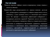 Патогенез. . Входными воротами инфекции являются поврежденные кожные покровы и слизистые оболочки. Внедрившийся вирус распространяется по нервным волокнам достигает ЦНС, где фиксируется и реплицируется в нейронах продолговатого мозга, гиппокампа, в узлах основания мозга и в поясничной части спинного