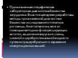 Прижизненная специфическая лабораторная диагностика бешенства затруднена. В настоящее время разработаны методы прижизненной диагностики бешенства: исследование отпечатков роговицы, биоптатов кожи, мозга с помощью методики флюоресцирующих антител, выделение вируса из слюны, слезной и цереброспинально