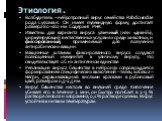 Этиология. Возбудитель – нейротропный вирус семейства Rabdoviridae рода Lyssavirus. Он имеет пулевидную форму, достигает размера 80–180 нм. Содержит РНК. Известны два варианта вируса: уличный (или «дикий»), циркулирующий в естественных условиях среди животных, и фиксированный, применяемый для получе