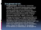 Эпидемиология. Эпидемиология. Бешенство – зоонозная инфекция. Основными резервуарами вируса бешенства являются плотоядные животные: лисицы (наиболее значимыйрезервуар), енотовидные собаки, волки, скунсы, шакалы, летучие мыши‑вампиры в странах Америки, мангусты (природные эпизоотии), а также домашние