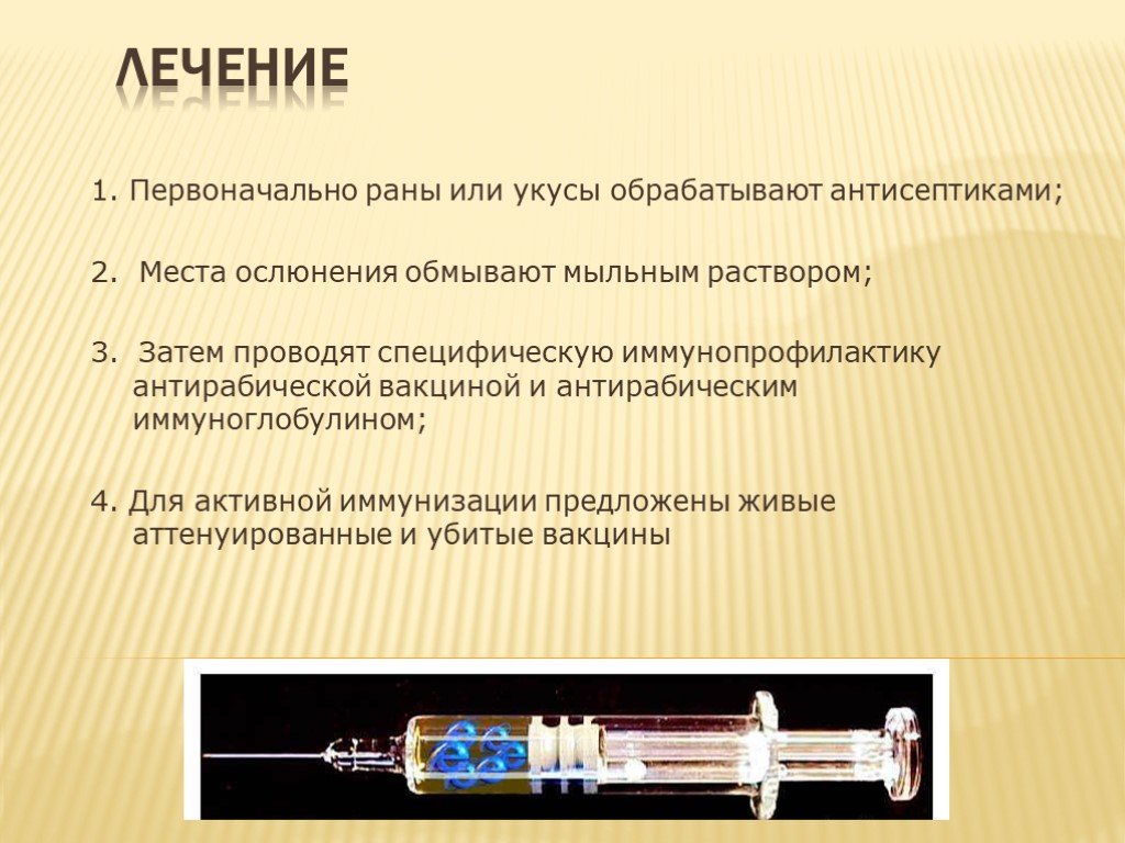 Вакцина антирабическая применение