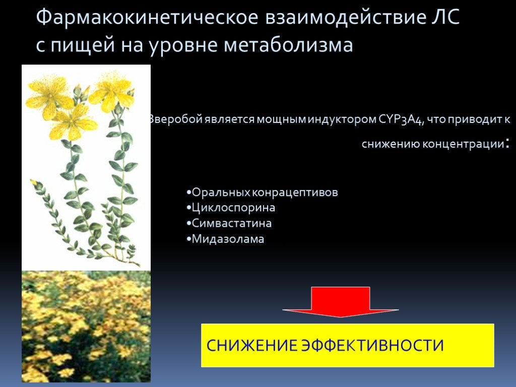 Взаимодействие лекарственных препаратов с пищей презентация