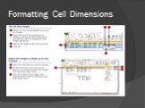 Formatting Cell Dimensions