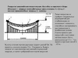 Покрытие олимпийского плавательного бассейна на проспекте Мира (Москва): 1 - опорные железобетонные арки сечением 2 x 3,3 м; 2 - висячие криволинейные фермы; 3 - колонны. Такие покрытия не требуют специальных мероприятий для стабилизации, ее выполняют элементы, способные воспринимать растягивающие и