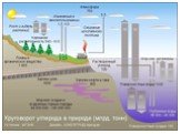 Глобальный цикл углерода в биосфере Слайд: 5