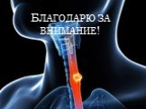 Благодарю за внимание!