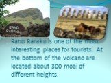 Rano Raraku is one of the most interesting places for tourists. At the bottom of the volcano are located about 300 moai of different heights.