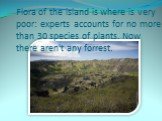 Flora of the island is where is very poor: experts accounts for no more than 30 species of plants. Now there aren't any forrest.