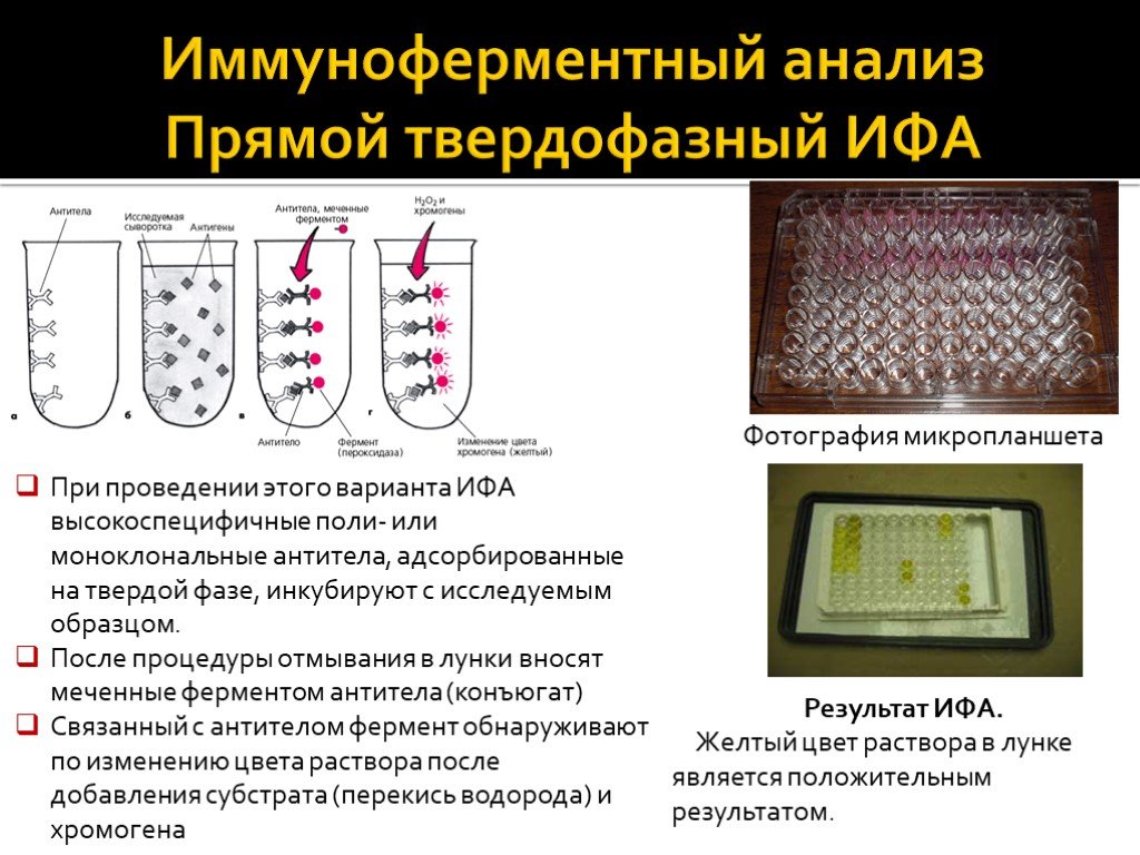Тест метод ифа. Схему протекания твердофазного ИФА. ИФА микробиология методика. Непрямой метод иммуноферментного анализа. ИФА методика выполнения анализа.