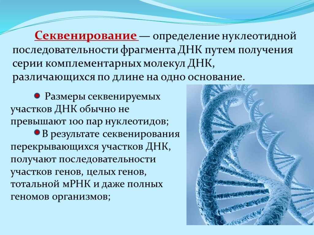 Секвенирование нуклеотидов. Секвенирование генома человека. Метод секвенирования генома человека. Секвенирование фрагмента ДНК. Методы секвенирования ДНК.
