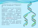 В течение многих лет последовательности ДНК были расшифрованы и сохранены в БД. Со временем вручную стало невозможным анализировать такое количество информации, поэтому в наши дни используются компьютерные программы, которые сопоставляют (выравнивают) похожие последовательности ДНК в геномах разных 