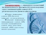 Секвенирование — определение нуклеотидной последовательности фрагмента ДНК путем получения серии комплементарных молекул ДНК, различающихся по длине на одно основание. Размеры секвенируемых участков ДНК обычно не превышают 100 пар нуклеотидов; В результате секвенирования перекрывающихся участков ДНК