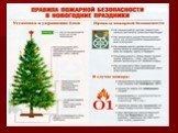 Организация Дружины юных пожарных в г.Сосногорск Слайд: 13