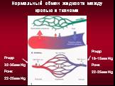 Нормальный обмен жидкости между кровью и тканями. Ргидр 32-35мм Hg Ронк 22-25мм Hg. Ргидр 10-15мм Hg Ронк 22-25мм Hg