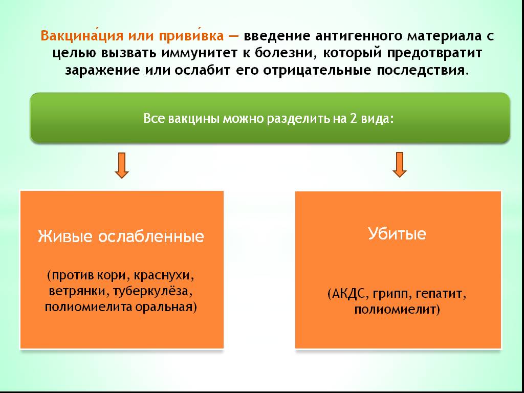 Введение кокав схема