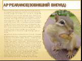 Appearance(зовнішній вигляд). This is a typical small animal squirrel shape, with an elongated slender body and bushy tail with "scratching". Its body length 19,5-28 cm, tail - 13-19 cm, weight 250-340 g.Golova round, with big black eyes. The ears are long, with brushes, especially pronoun