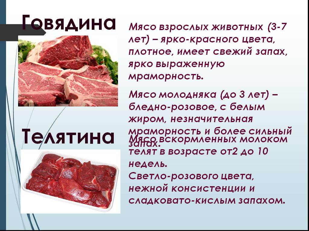 Плотное мясо. Мясо молодняка и взрослых животных. Мраморность мяса презентация. Бледно розовое мясо говядины. Мясо говядины 6-7 лет.