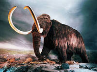 http://im0-tub-ru.yandex.net/i?id=360167040-60-72&n=21